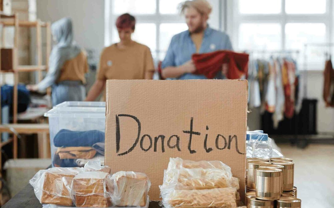 What You Should Know Before Starting a Non-profit in New Zealand